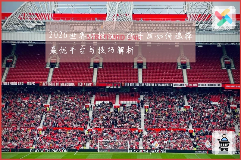 2026世界杯投注：新手该如何选择最优平台与技巧解析
