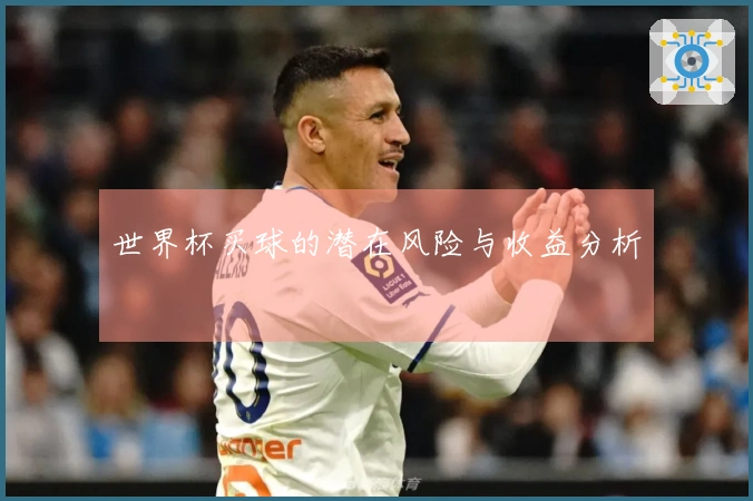 世界杯买球的潜在风险与收益分析