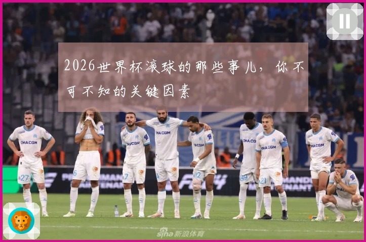 2026世界杯滚球的那些事儿，你不可不知的关键因素