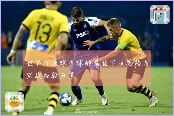 世界杯滚球买球的最佳下注思路与实战经验分享