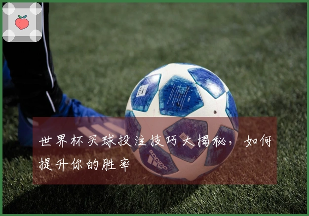 世界杯买球投注技巧大揭秘，如何提升你的胜率