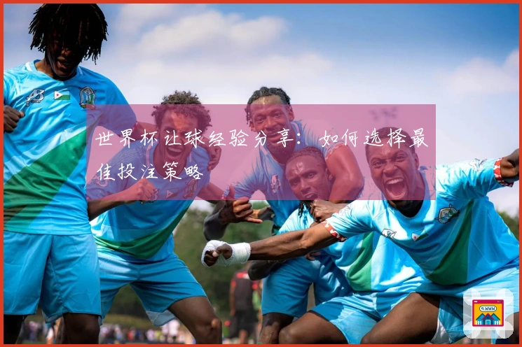 世界杯让球经验分享：如何选择最佳投注策略