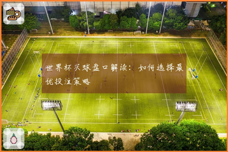 世界杯买球盘口解读：如何选择最优投注策略