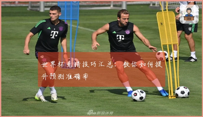世界杯竞猜技巧汇总：教你如何提升预测准确率