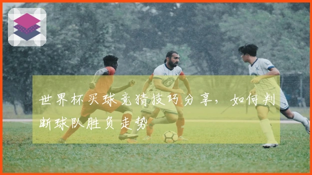 世界杯买球竞猜技巧分享，如何判断球队胜负走势