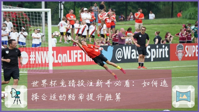 世界杯竞猜投注新手必看：如何选择合适的赔率提升胜算