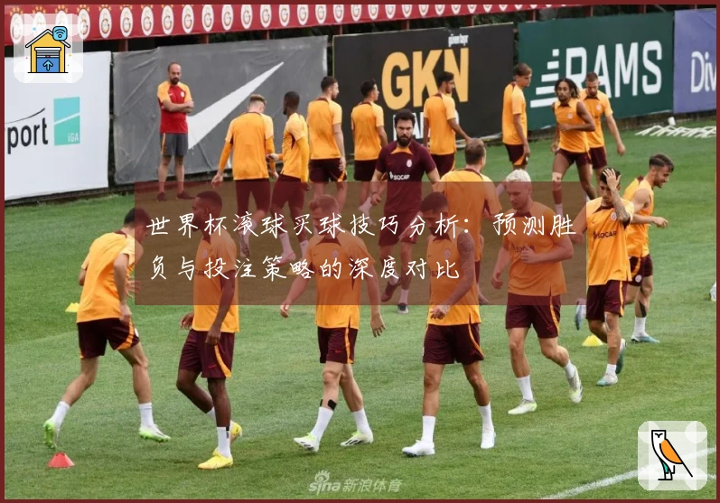 世界杯滚球买球技巧分析：预测胜负与投注策略的深度对比