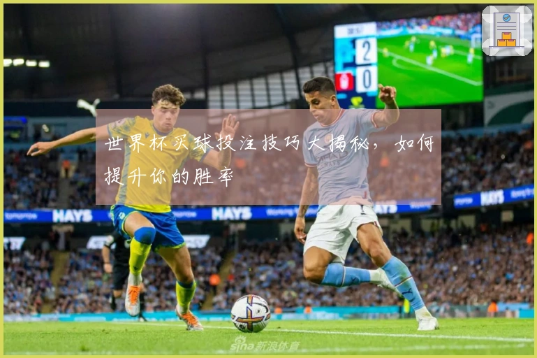 世界杯买球投注技巧大揭秘，如何提升你的胜率
