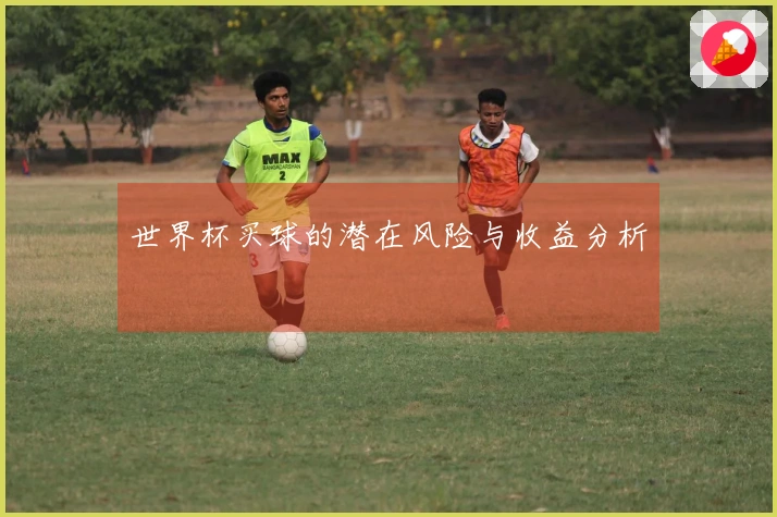 世界杯买球的潜在风险与收益分析