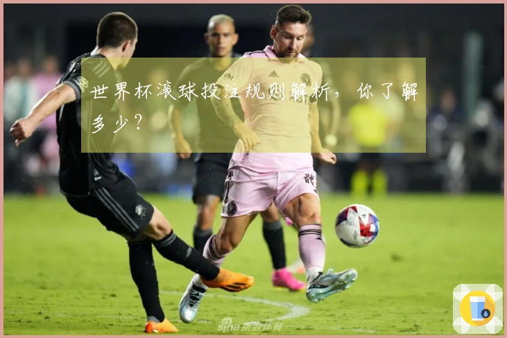 世界杯滚球投注规则解析，你了解多少？