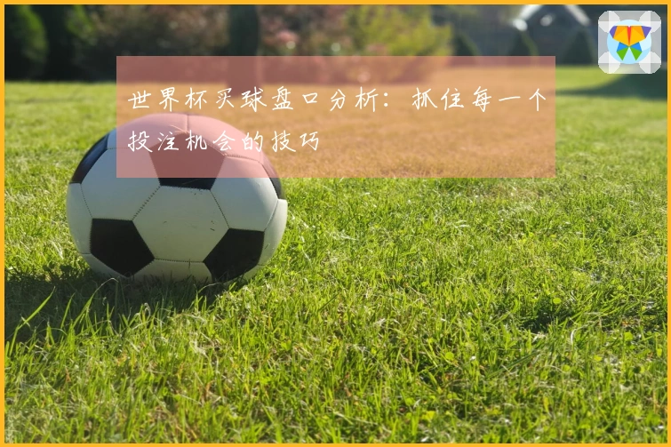世界杯买球盘口分析：抓住每一个投注机会的技巧
