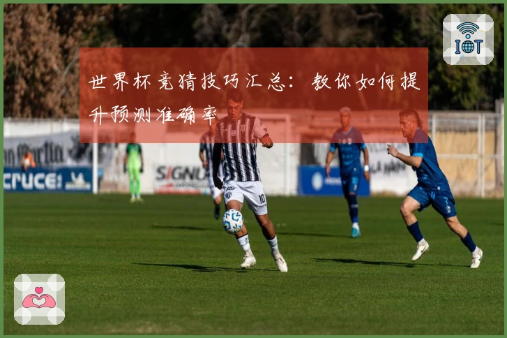 世界杯竞猜技巧汇总：教你如何提升预测准确率