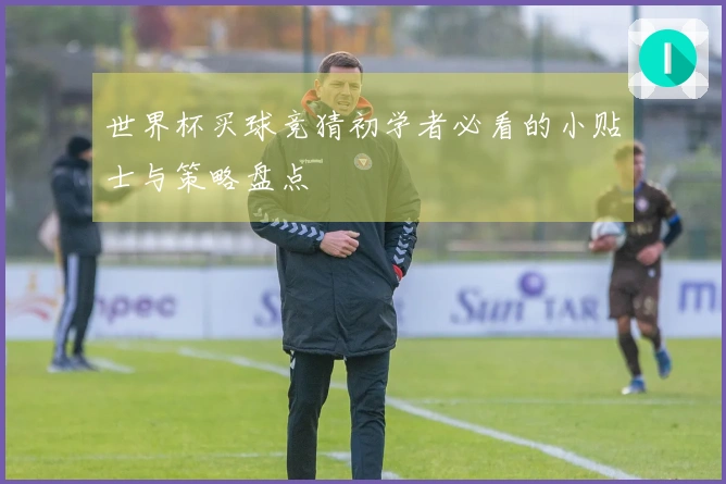 世界杯买球竞猜初学者必看的小贴士与策略盘点