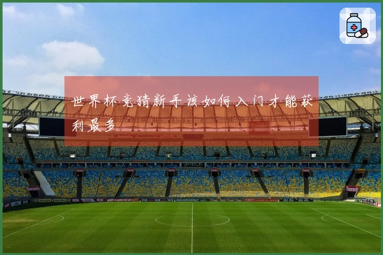 世界杯竞猜新手该如何入门才能获利最多