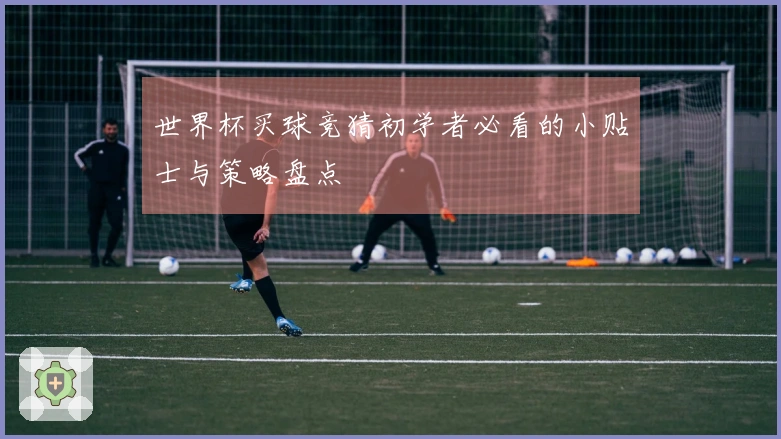 世界杯买球竞猜初学者必看的小贴士与策略盘点
